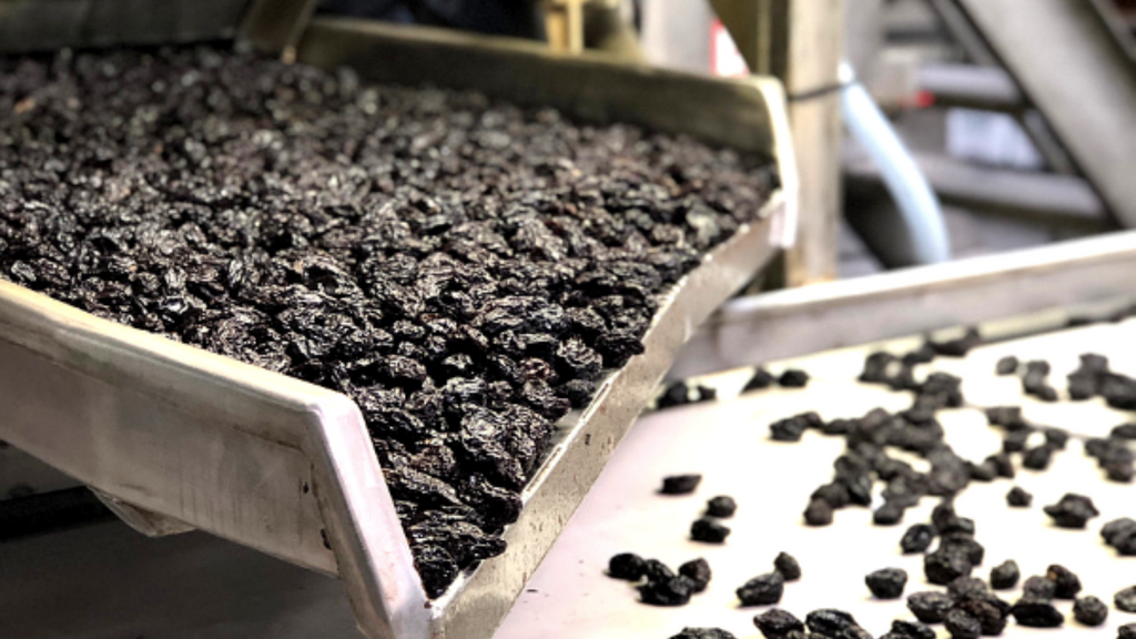 Processing Prunes